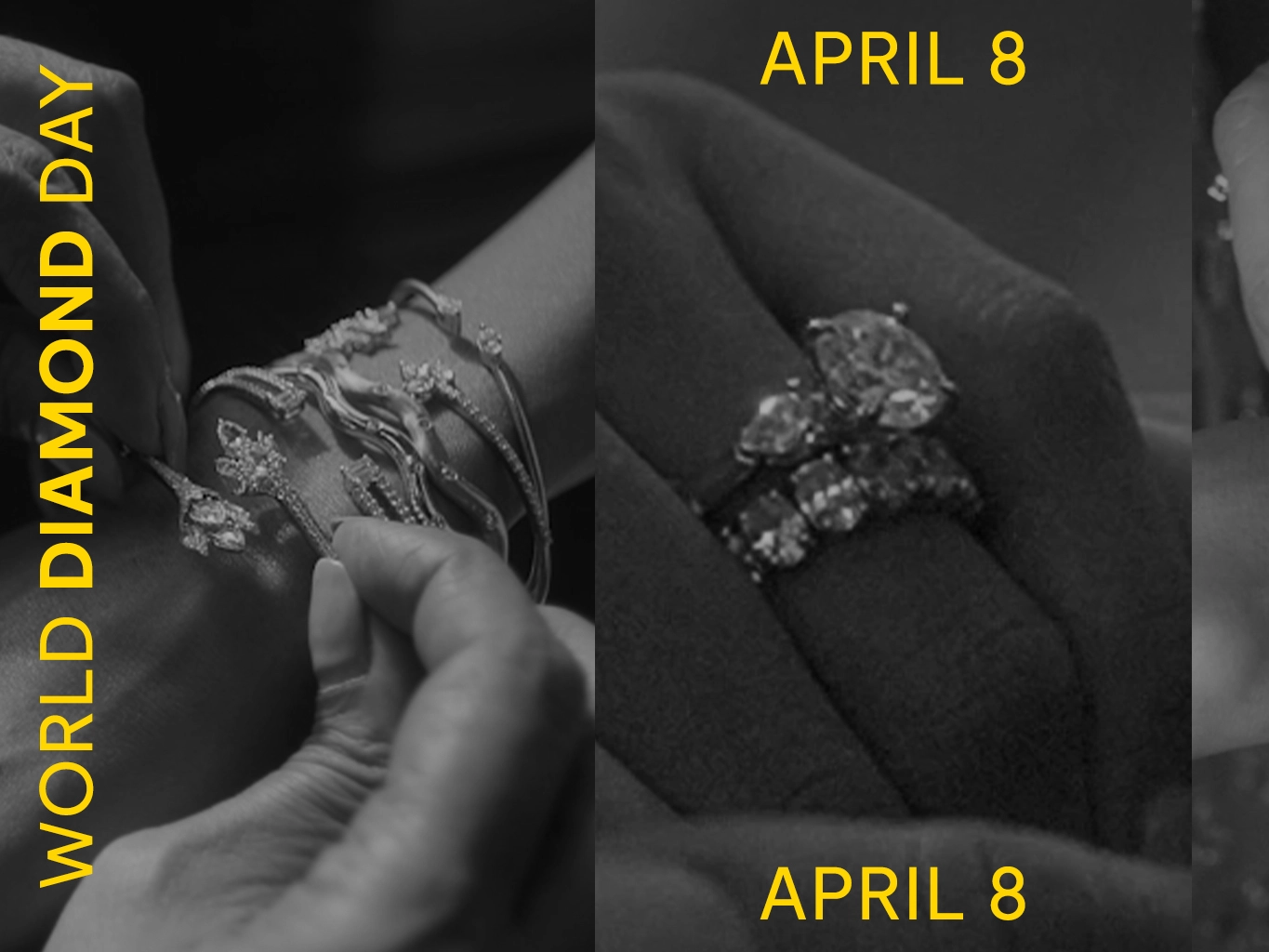 Natural Diamond Council India Celebrates First World Diamond Day with Industry-Wide Participation